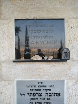 תמונת מצבה