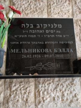 תמונת מצבה
