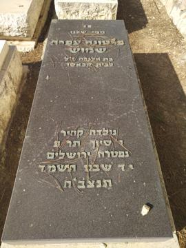 תמונת מצבה