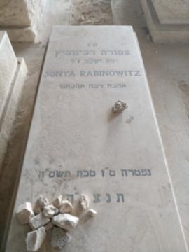 תמונת מצבה