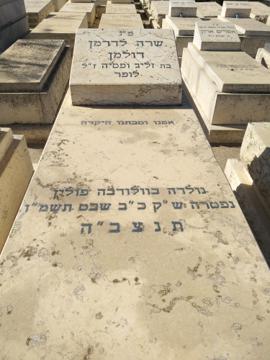 תמונת מצבה