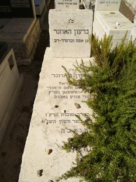 תמונת מצבה