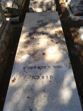 תמונת מצבה