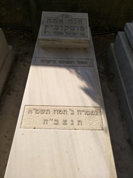 תמונת מצבה