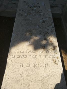 תמונת מצבה