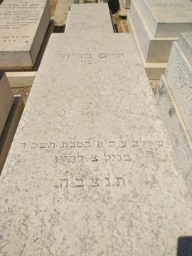 תמונת מצבה
