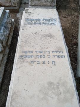 תמונת מצבה