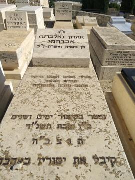 תמונת מצבה
