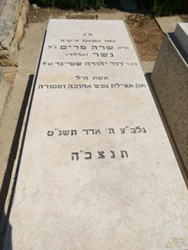תמונת מצבה