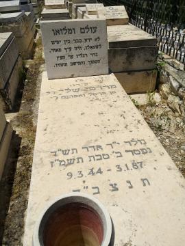 תמונת מצבה