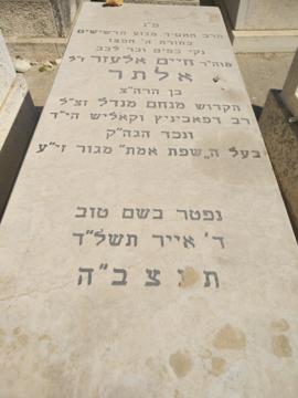 תמונת מצבה