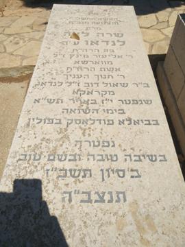 תמונת מצבה