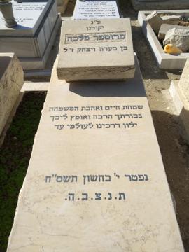 תמונת מצבה