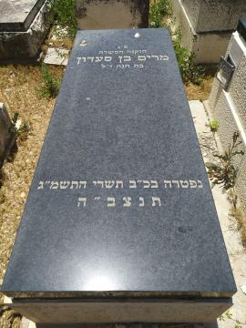 תמונת מצבה