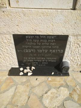 תמונת מצבה