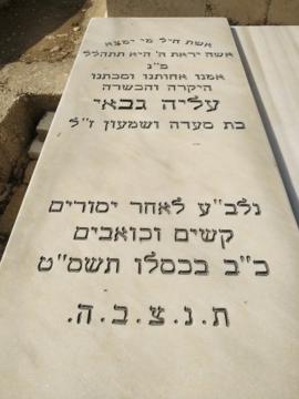 תמונת מצבה