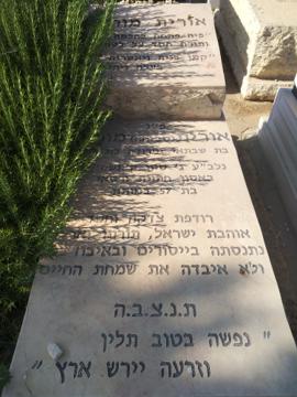 תמונת מצבה