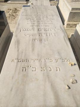 תמונת מצבה