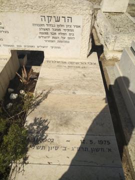 תמונת מצבה