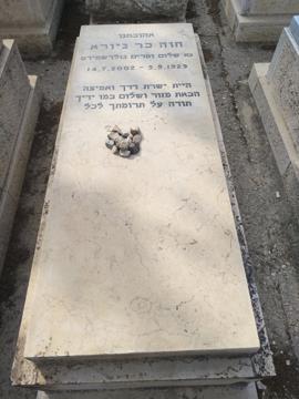 תמונת מצבה