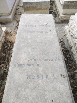 תמונת מצבה