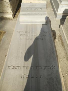 תמונת מצבה
