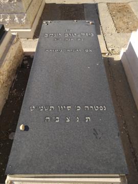 תמונת מצבה