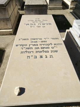 תמונת מצבה