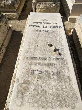 תמונת מצבה