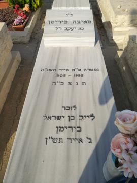 תמונת מצבה