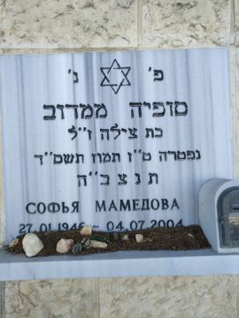 תמונת מצבה