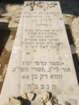 תמונת מצבה