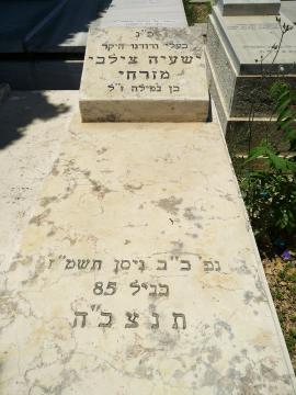תמונת מצבה