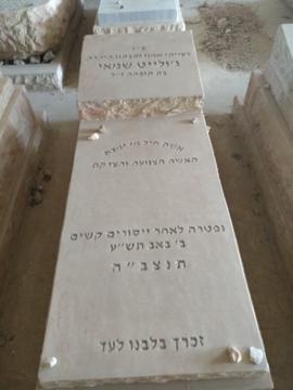 תמונת מצבה