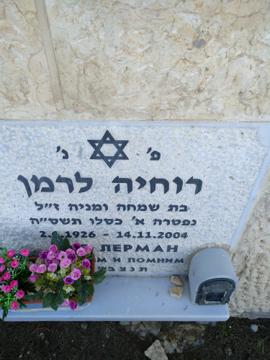 תמונת מצבה