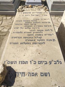 תמונת מצבה