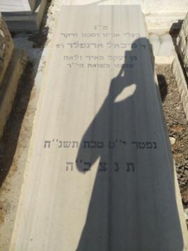 תמונת מצבה