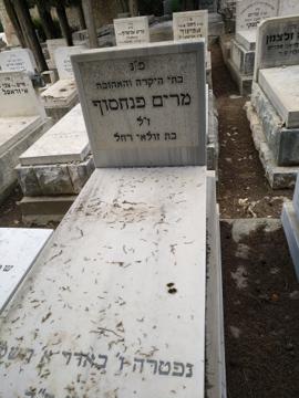 תמונת מצבה