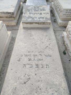 תמונת מצבה
