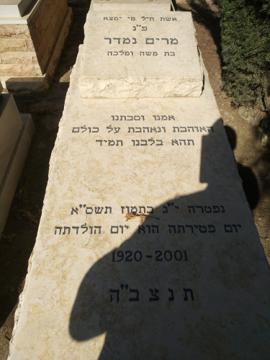 תמונת מצבה