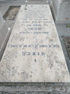 תמונת מצבה