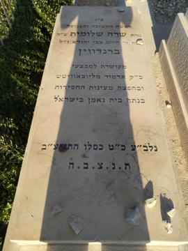 תמונת מצבה