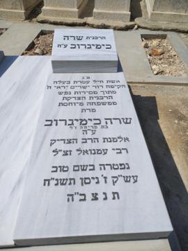 תמונת מצבה