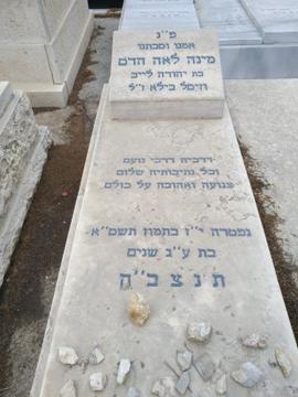 תמונת מצבה