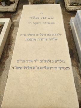 תמונת מצבה