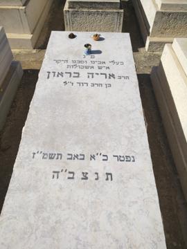 תמונת מצבה