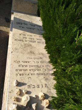 תמונת מצבה