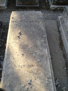 תמונת מצבה