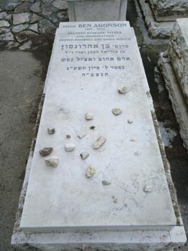 תמונת מצבה