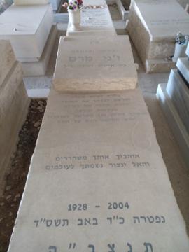 תמונת מצבה